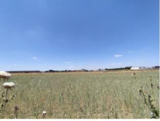 finca rústica en illescas