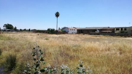 solar en madrigalejo