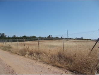 finca rústica en fuente palmera