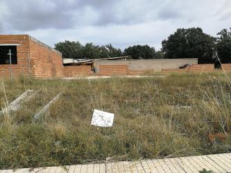 solar en arcas del villar