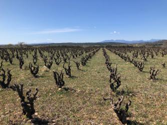 finca rústica en peralada