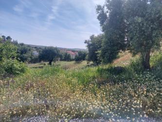 solar en gabias (las)