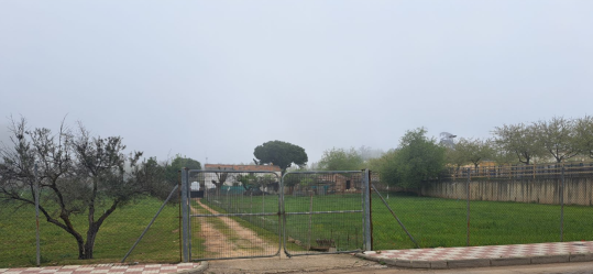 solar en carolina (la)