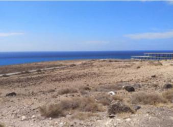 finca rústica en pajara