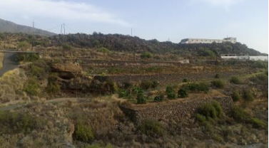 finca rústica en arafo