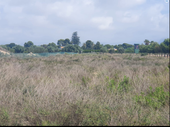 solar en el campello