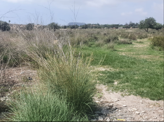 finca rústica en sant joan d'alacant