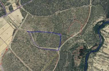 finca rústica en villanueva de gomez