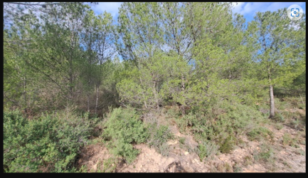 finca rústica en l'alcora