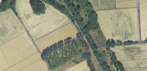 finca rústica en villazanzo de valderaduey