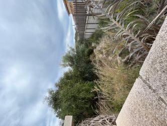 finca rústica en busot