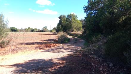 finca rústica en felanitx