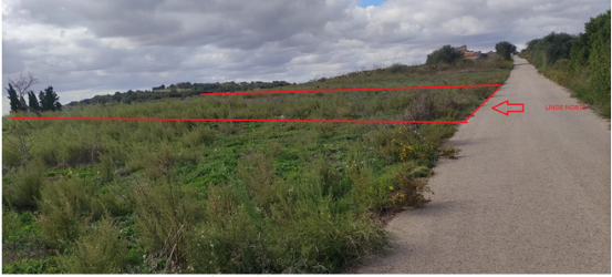 finca rústica en vilafranca de bonany