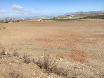 finca rústica en otura