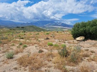 finca rústica en jaen