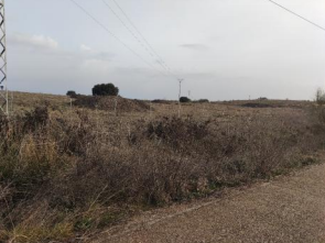 finca rústica en cazalegas