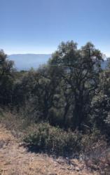 solar en riells i viabrea