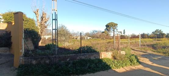 finca rústica en sanlucar la mayor