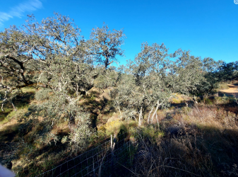 finca rústica en el ronquillo