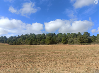 finca rústica en zarzuela