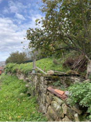 finca rústica en caso