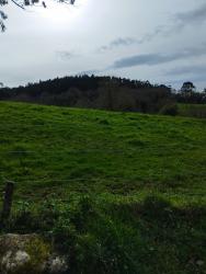 finca rústica en santillana del mar