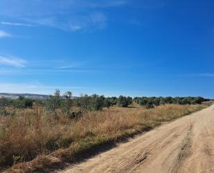 finca rústica en chozas de canales