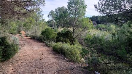 finca rústica en torres torres