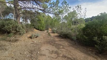 finca rústica en torres torres