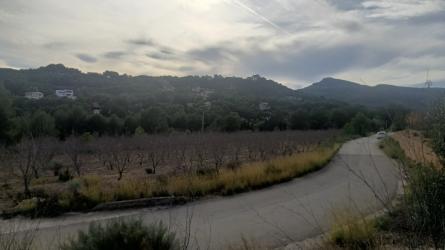 finca rústica en torres torres