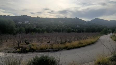 finca rústica en torres torres