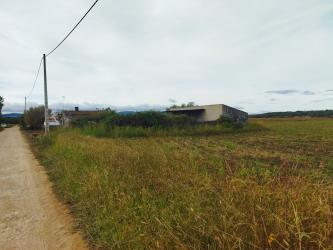 finca rústica en moraleja