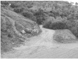 finca rústica en cartama