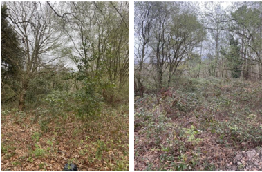 finca rústica en siero