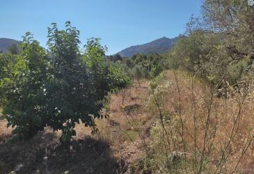 finca rústica en castell de castells