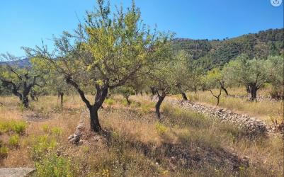 finca rústica en castell de castells