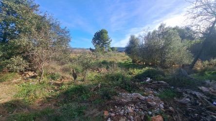 finca rústica en cabanes