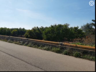 finca rústica en vila-real-villareal