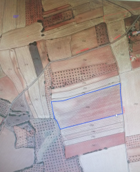 finca rústica en alcolea de calatrava