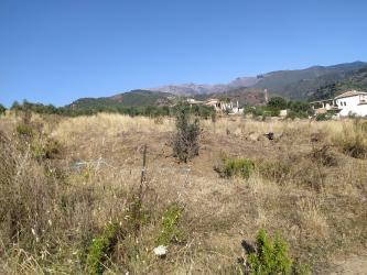 finca rústica en tolox