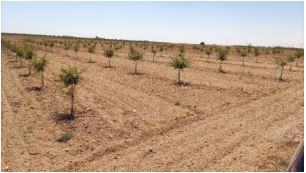 finca rústica en tarazona de la mancha