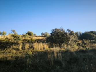 finca rústica en lobon