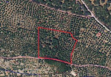 finca rústica en fuentes de leon