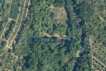 finca rústica en anguiano