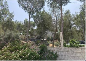 finca rústica en murcia