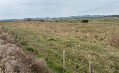 finca rústica en sadaba