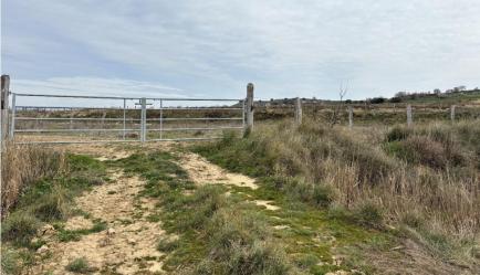 finca rústica en sadaba