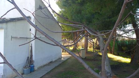 otros en albacete