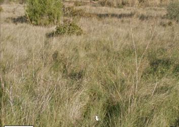 solar en xabia-javea