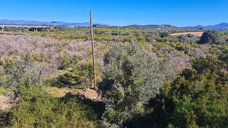 finca rústica en benicarlÓ